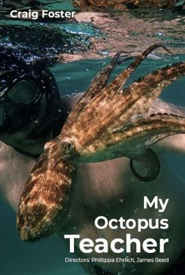 Xem phim Cô Giáo Bạch Tuộc – My Octopus Teacher (2020) full HD Vietsub online tại Phim Nhựa
